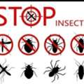 H71PEST CONTROL&hearts;️SPRAYS&hearts;️And BED BUGS&hearts;️Solution With Guaranteed&hearts;️0575282420
