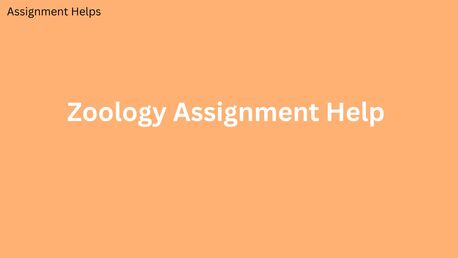 London, Education, What Makes A Great Zoology Assignment Help Service?