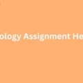 What Makes A Great Zoology Assignment Help Service?