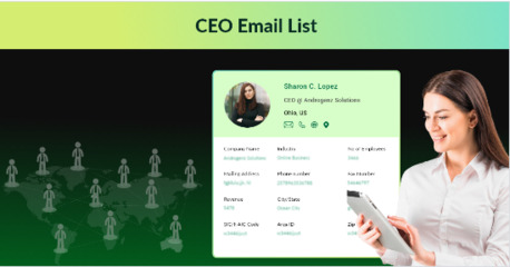Toronto, Business, Need CEO Email List For Executive Business Outreach?