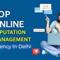 Improve Your Online Reputation With Delhi&rsquo;s Best ORM Agency