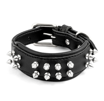 Mumbai, Pet Sitting, Adjustable Metal Buckle Studded Collar