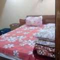 SAR 1600/month,  1 BR,  1 BHK Furnished Family Flat For Rent - Family Only