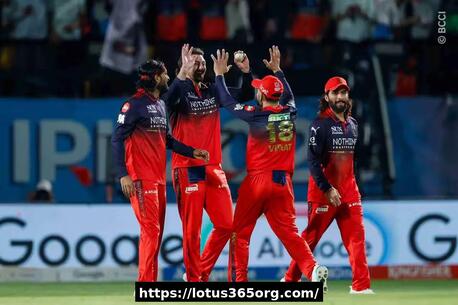 New Delhi, Business, Complete Lotus 365 Sports Betting Guide For Beginners