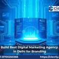 Amplify Best Digital Marketing Agency In Delhi For Success