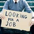 Looking For Job