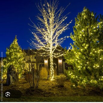 New York, Business, Faithful Christmas Lighting