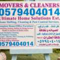 Sofa Carpet Cleaning And Pest Control Spray And Bed Bug's Killing Solution 203×