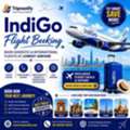 IndiGo Flight Booking: Lowest Airfare On Domestic & International Flights