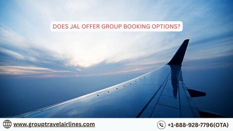 New York, Travel, Does JAL Offer Group Booking Options?