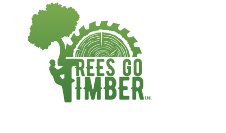 Edmonton, Business, Skilled Arborists In Leduc For Expert Tree Care