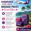 Hawaiian Airlines Baggage Policy Travel Offers +1-855-867-4428