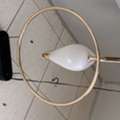 BHD 30, Bird Light