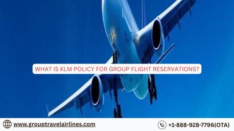 New York, Travel, What Is KLM Policy For Group Flight Reservations?