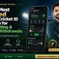 Experience Premium Online Cricket Betting With Tiger Exchange