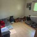 SAR 600/month,  Bed Space Available, Everything Including, Monthly Rent