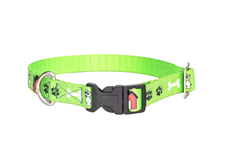 Mumbai, Pet Supplies, INR 149,  Nylon Paw Print Dog Collar With Adjustable