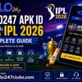 Yolo247 APK ID For IPL 2026: Complete Guide