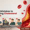 Cholesterol Treatment Support With Expert Guidance
