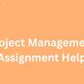 Your Path To Success: Project Management Assignment Help