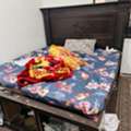 SAR 120,  King Size Bed