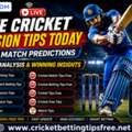 Professional Live Session Tips For Cricket Fans