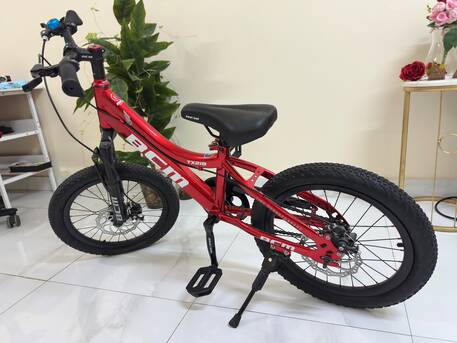 Riyadh, Bicycles, SAR 500,  Bicycle