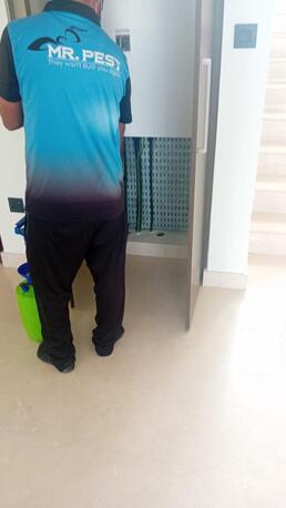 Dubai, Pest Control, Low Cost Warehouse Rodent Control DIC