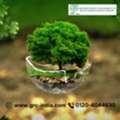 Get Environmental Compliance Support With GRC India