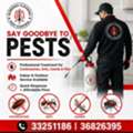 Pest Control  Special Offer Just Only 15 BHD Call Now