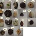 Iam Looking For A Pastry Chef Job