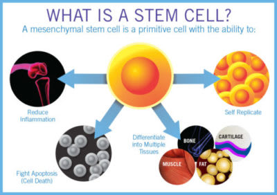 Mumbai, Medical, International Stem Cell Treatment Support In India