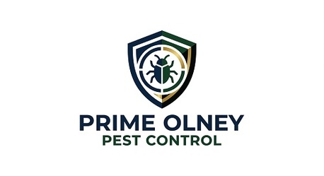 New York, Business, Prime Olney Pest Control
