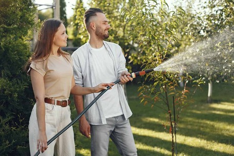 New York, Business, Corona Tree Service Of San Jose