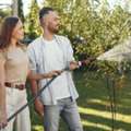 Corona Tree Service Of San Jose