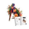 AUD 55,  Australian King Parrot Wooden Puzzle