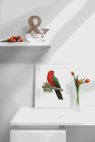 Sydney, Baby & Kid Stuff, AUD 55,  Australian King Parrot Wooden Puzzle
