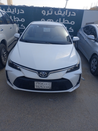 Riyadh, Job Seekers, Pick And Droof