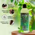 USD 15,  Buy Henna Shampoo For Healthy And Beautiful Hair