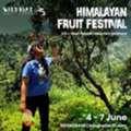 Himalayan Fruit Festival Season 2 | 4 Days Of Orchards, Trekking & Nature
