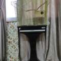 SAR 150,  A Bird Tree Cage