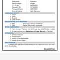 Seeking For Driver Job