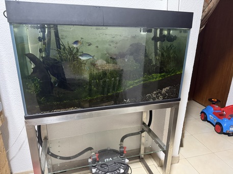 Dammam, Pet Supplies, SAR 600,  Aquarium With Stand For Sale
