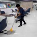 Office Cleaner