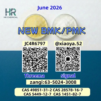 Berlin, Local News, BM K 5449-12-7 Supplier High Purity 28578-16-7 PMK Bulk Chemicals 49851-31-2 1451-82-7