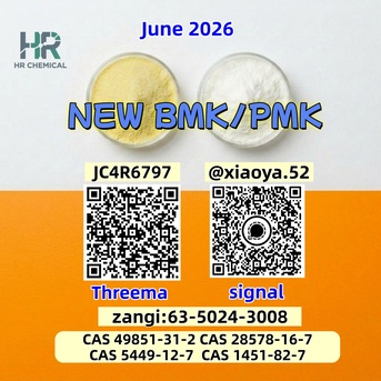 Berlin, Local News, BM K 5449-12-7 Supplier High Purity 28578-16-7 PMK Bulk Chemicals 49851-31-2 1451-82-7
