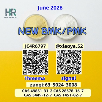Berlin, Local News, BM K 5449-12-7 Supplier High Purity 28578-16-7 PMK Bulk Chemicals 49851-31-2 1451-82-7