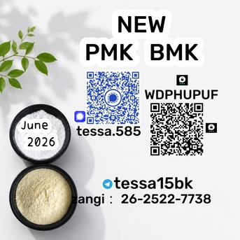 Hong Kong, Businesses For Sale, PMK Glycidate Powder CAS 28578-16-7  Factory Direct Supply 5449-12-7 BMK  Organic  White P