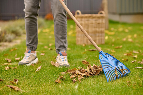 London, Household, Professional Garden Cleaning Services In Coventry | Cleaning Services Coventry Ltd