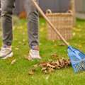 Professional Garden Cleaning Services In Coventry | Cleaning Services Coventry Ltd